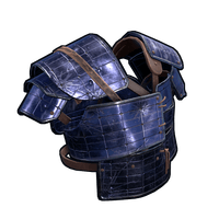 Solar Panel Vest