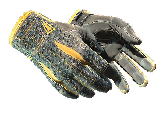 ★ Sport Gloves | Omega (Well-Worn)